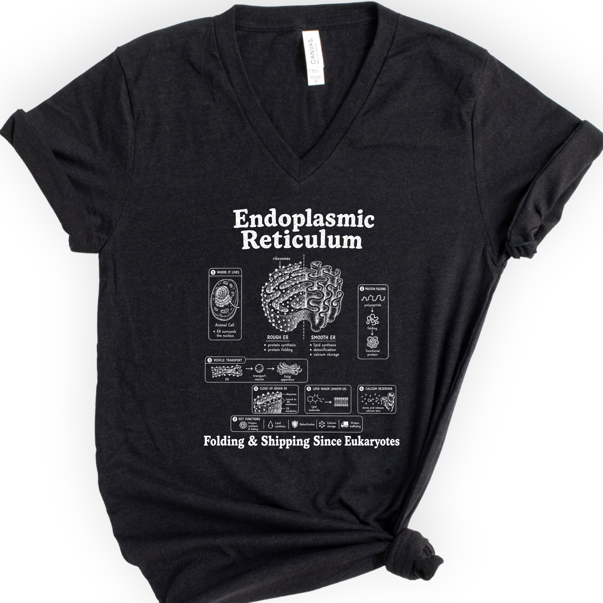 Endoplasmic Reticulum v-neck t-shirt — Black