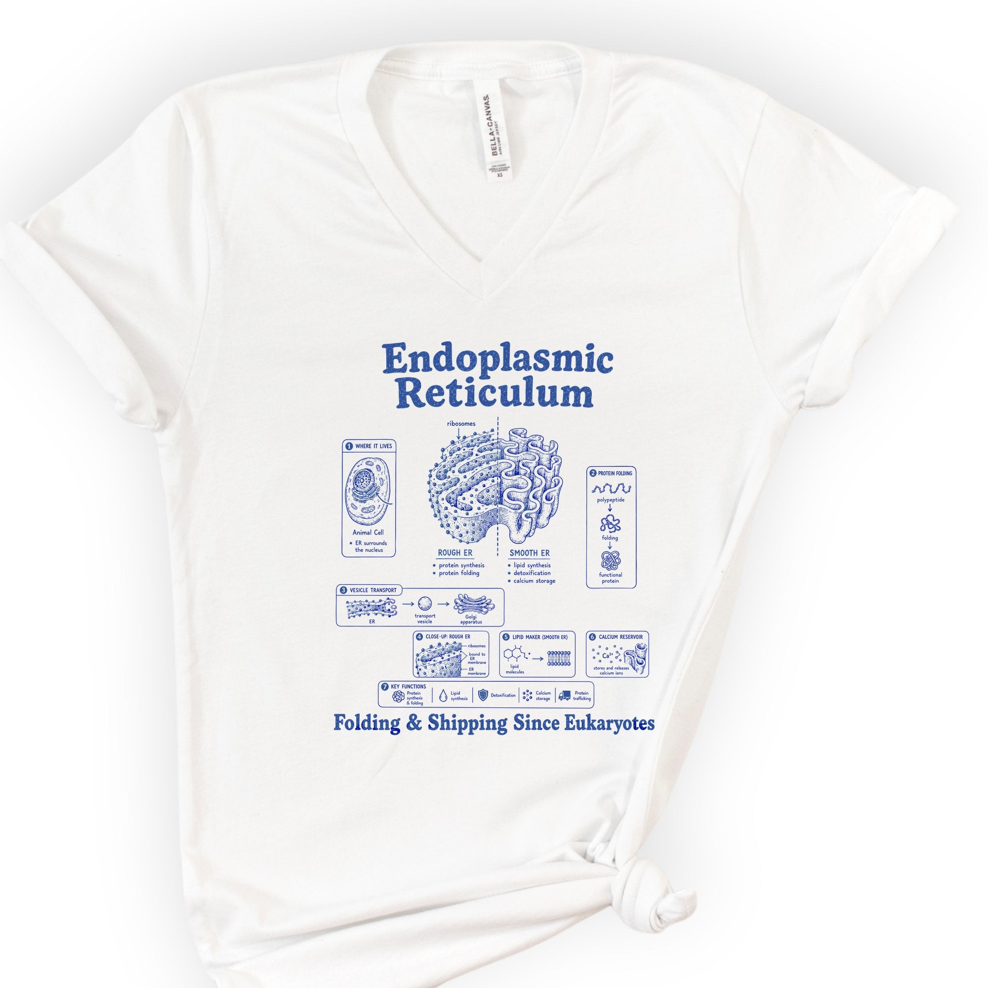 Endoplasmic Reticulum v-neck t-shirt — White