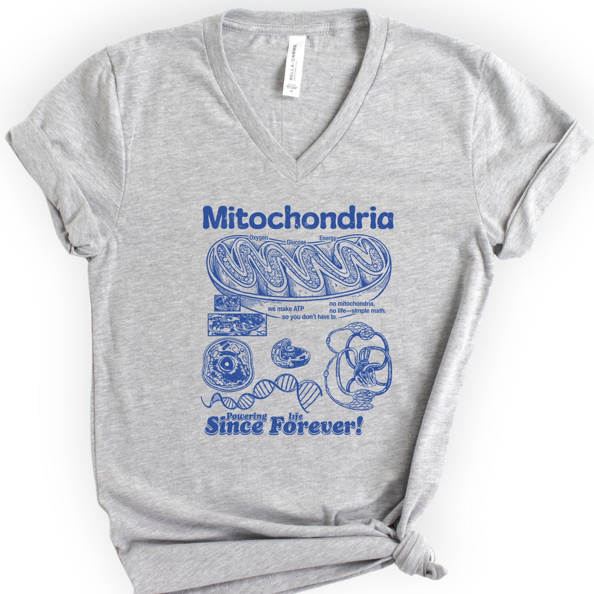 Mitochondria Powering Life v-neck t-shirt — Athletic Heather