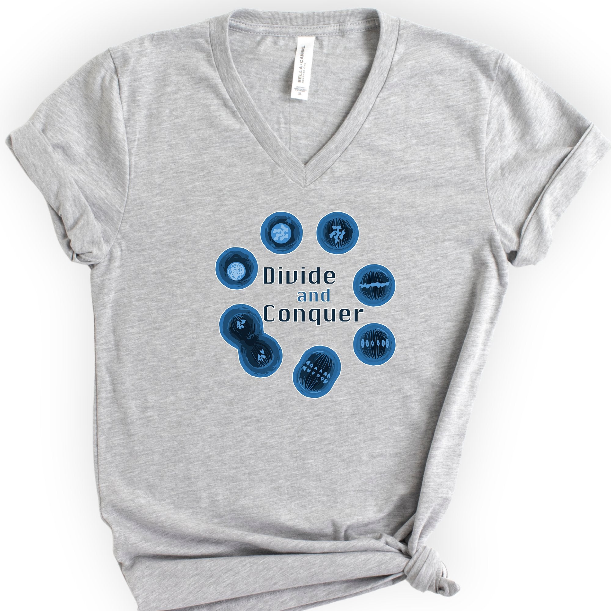 Mitosis Divide and Conquer v-neck t-shirt — Athletic Heather