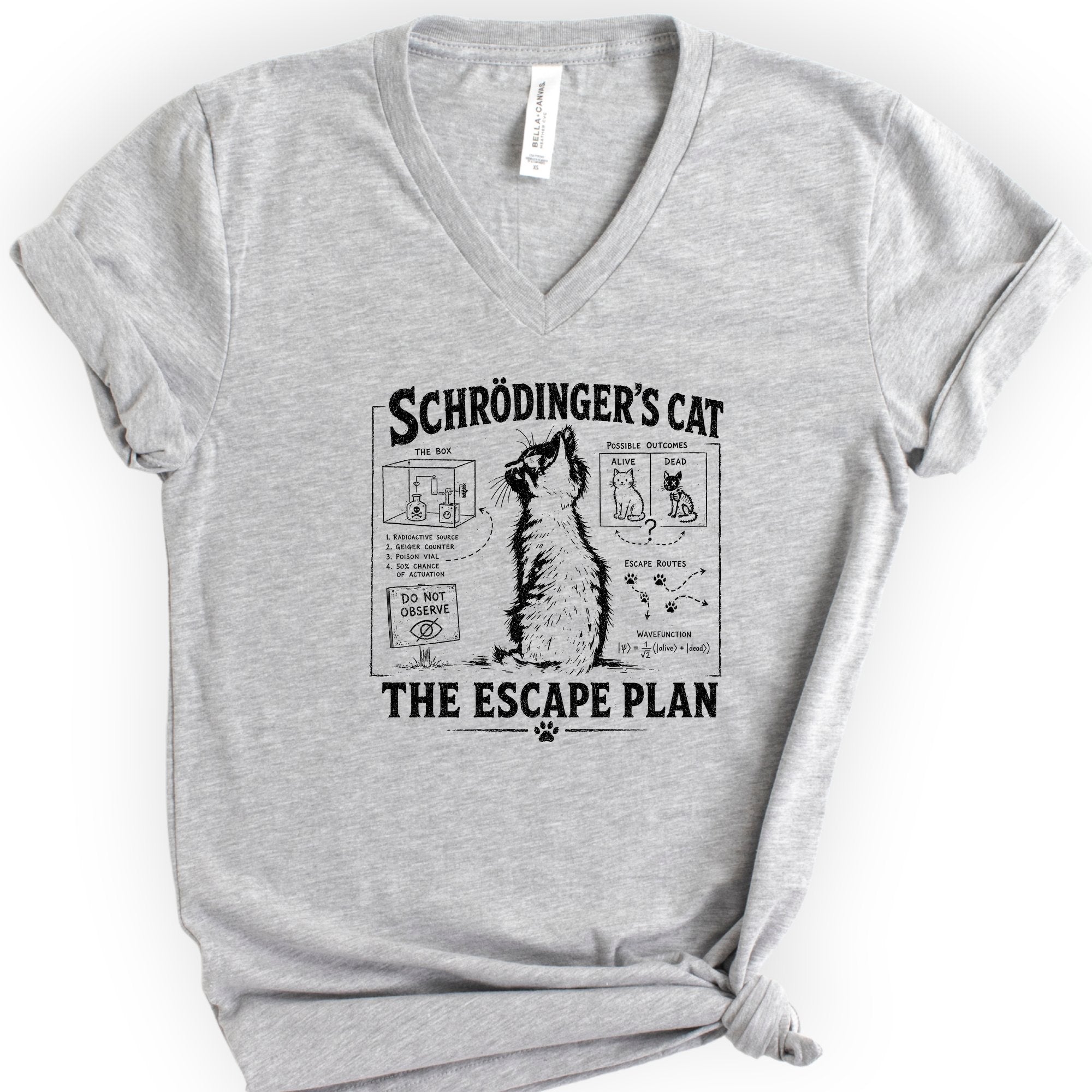 Schrödinger's Cat v-neck t-shirt — Athletic Heather