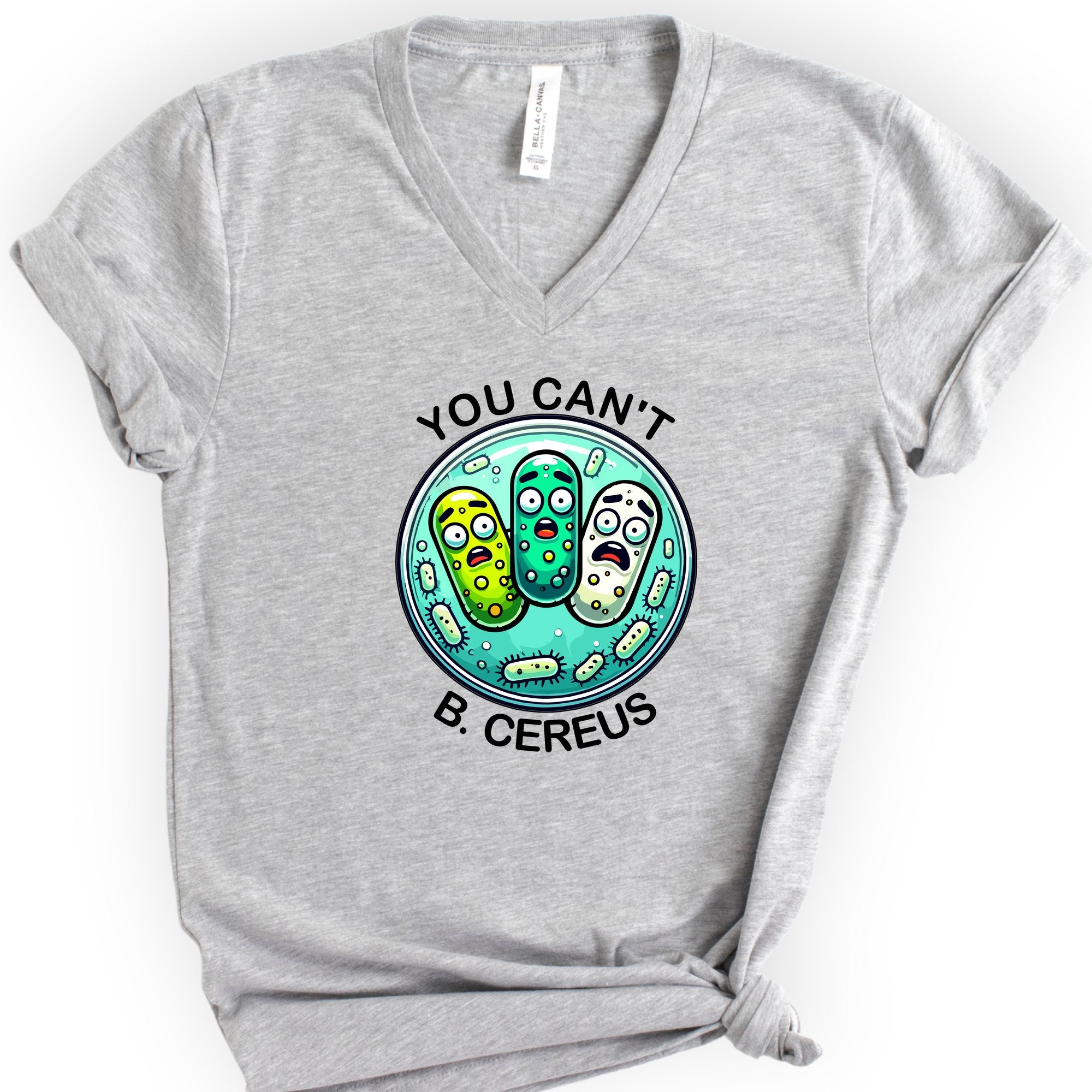 You Can't B. Cereus v-neck t-shirt — Athletic Heather